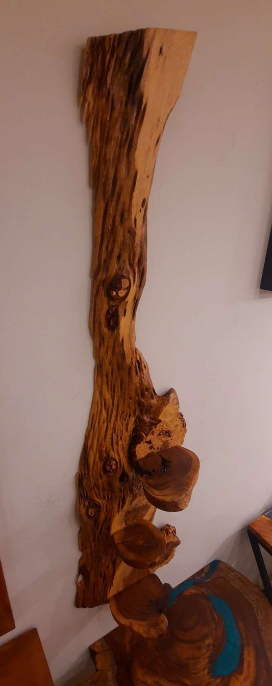 Natural wooden decoration